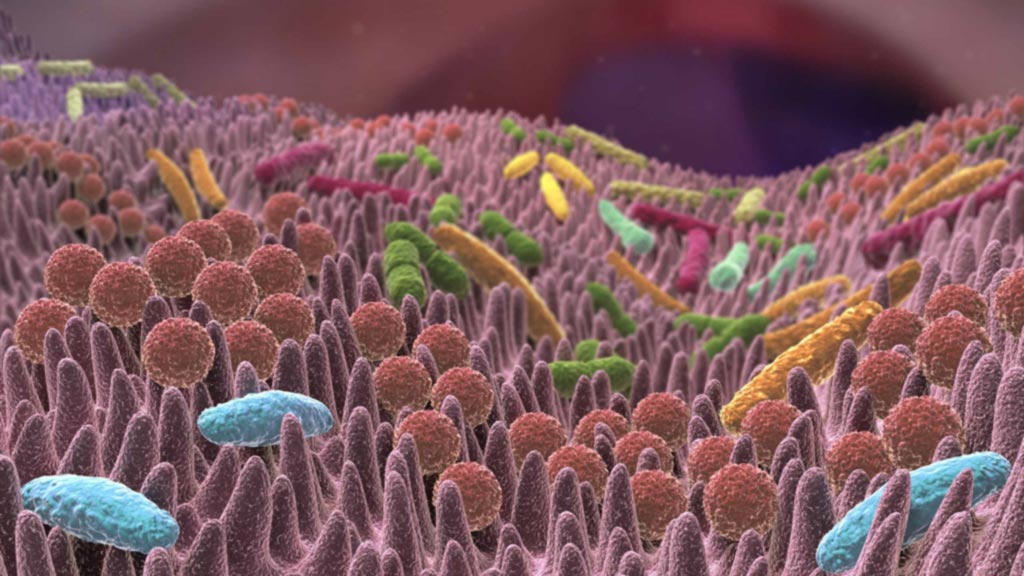 Microbiote - illustration